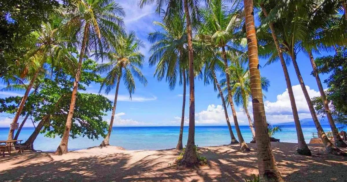 Big Bus Hong Kong Hop On Hop Off Tours Klook Hong Kong